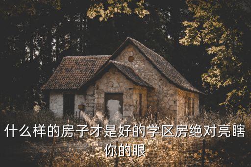 什么样的房子才是好的学区房绝对亮瞎你的眼