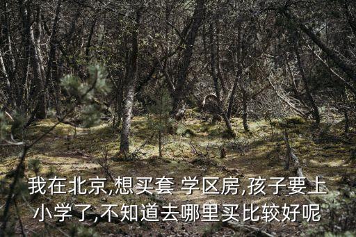 我在北京,想买套 学区房,孩子要上小学了,不知道去哪里买比较好呢