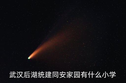武汉后湖有什么学区房，武汉后湖统建同安家园有什么小学