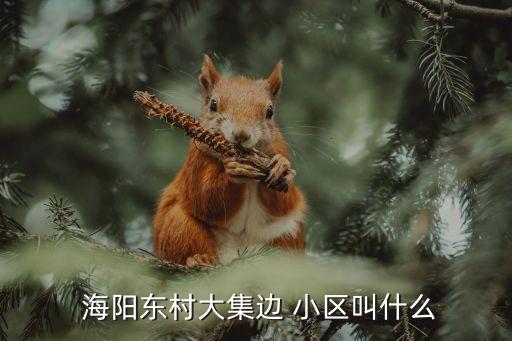 海阳哪些小区学区房,海阳学区房划分