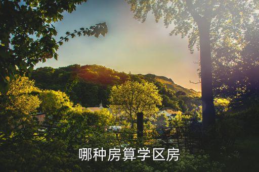 哪种房算学区房