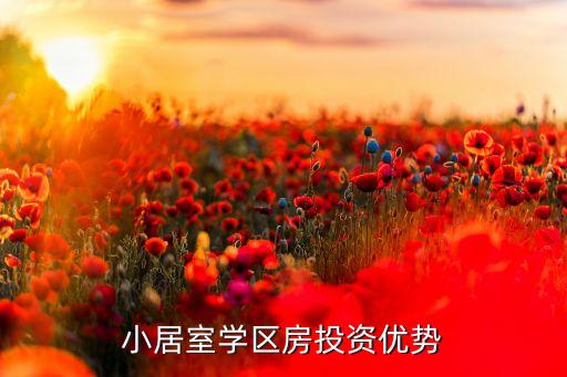 小居室学区房投资优势