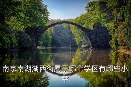 南京南湖湖西街属于哪个学区有哪些小学