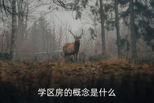 学区房的概念是什么