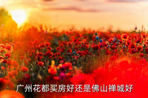  广州花都买房好还是佛山禅城好