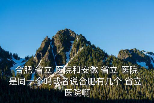 合肥 省立 医院和安徽 省立 医院是同一个吗或者说合肥有几个 省立 医院啊