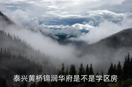 泰兴无学区的是什么房，泰兴佳源威尼斯维莱特宫多层洋房怎么样