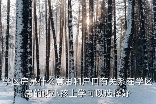 学区房是什么意思和户口有关系在学区房的话小孩上学可以选择好