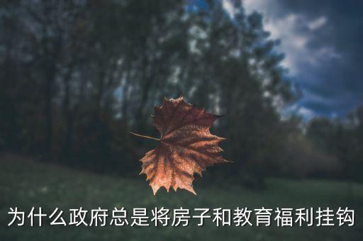 为什么政府总是将房子和教育福利挂钩