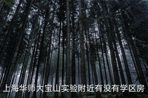 上海华师大宝山实验附近有没有学区房