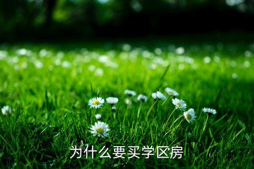 为什么要买学区房