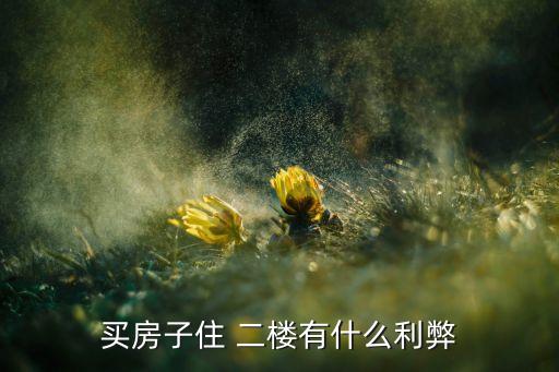 买房子住 二楼有什么利弊