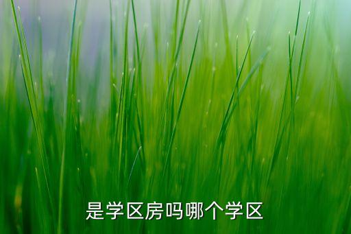 是学区房吗哪个学区