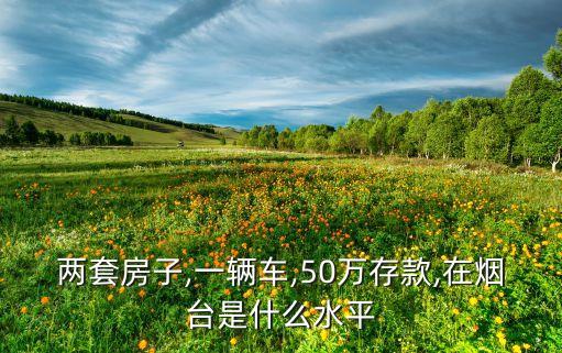 两套房子,一辆车,50万存款,在烟台是什么水平