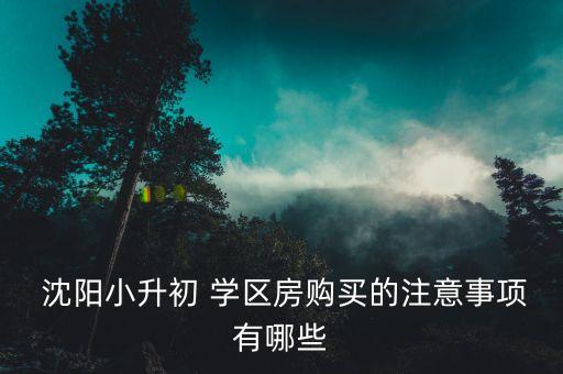  沈阳小升初 学区房购买的注意事项有哪些