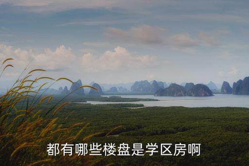 都有哪些楼盘是学区房啊