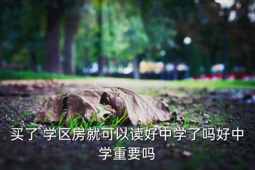 买了 学区房就可以读好中学了吗好中学重要吗