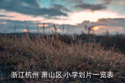 浙江杭州 萧山区 小学划片一览表