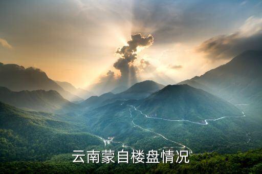 云南蒙自楼盘情况