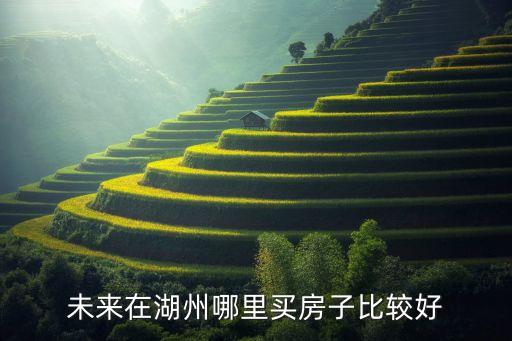 未来在湖州哪里买房子比较好