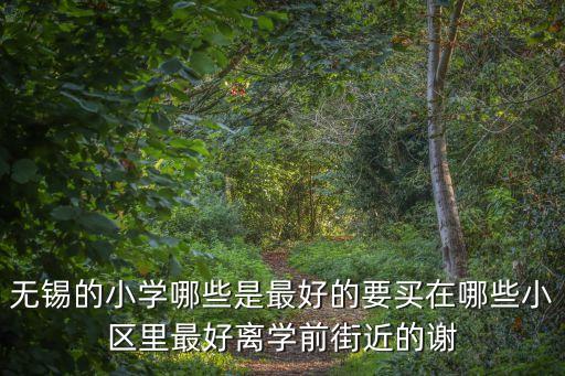无锡的小学哪些是最好的要买在哪些小区里最好离学前街近的谢