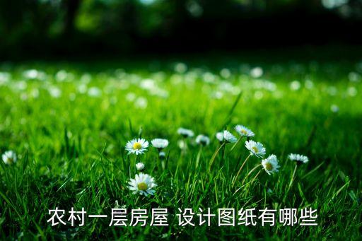  农村一层房屋 设计图纸有哪些