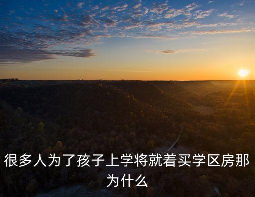 人为什么还要买学区房，很多人为了孩子上学将就着买学区房那为什么