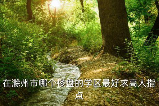 在滁州市哪个楼盘的学区最好求高人指点