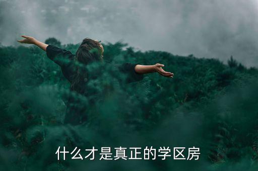 什么才是真正的学区房