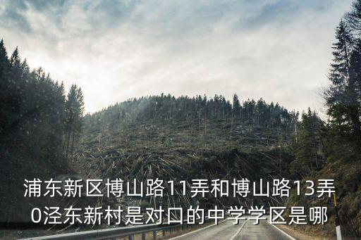 浦东新区博山路11弄和博山路13弄0泾东新村是对口的中学学区是哪