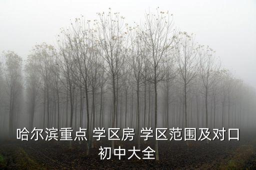 万达华府哪里是学区房
