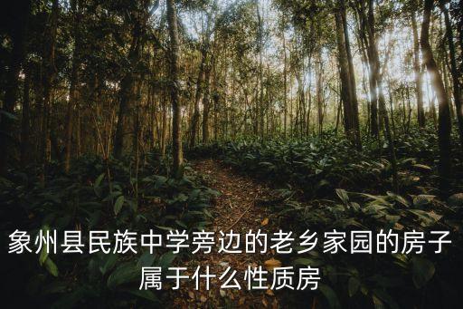 象州县民族中学旁边的老乡家园的房子属于什么性质房