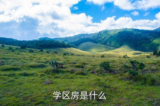 学区房是什么