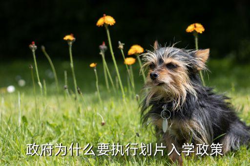 学区房为什么要划范围，学校的区域划分是咋回事