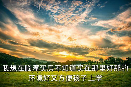 我想在临潼买房不知道买在那里好那的环境好又方便孩子上学