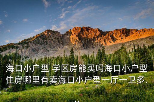 海口小户型 学区房能买吗海口小户型住房哪里有卖海口小户型一厅一卫多...