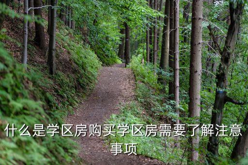 什么是学区房购买学区房需要了解注意事项