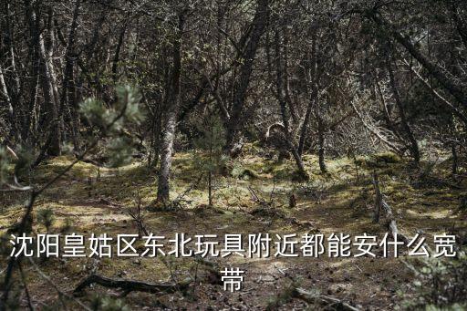 沈阳皇姑区东北玩具附近都能安什么宽带