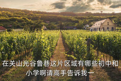 在关山光谷鲁巷这片区域有哪些初中和小学啊请高手告诉我一
