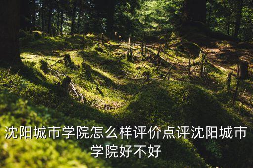 沈阳城市学院怎么样评价点评沈阳城市学院好不好