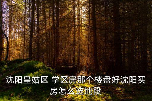 沈阳皇姑区 学区房那个楼盘好沈阳买房怎么选地段