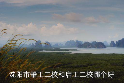 沈阳市肇工二校和启工二校哪个好