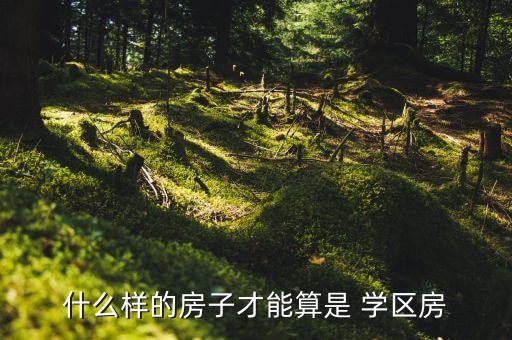 什么样的房子才能算是 学区房