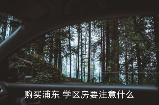 购买浦东 学区房要注意什么