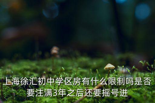 上海徐汇初中学区房有什么限制吗是否要注满3年之后还要摇号进