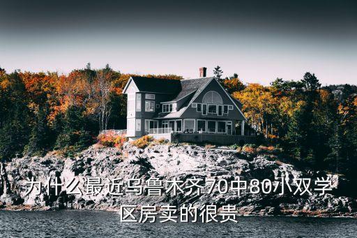 为什么最近乌鲁木齐70中80小双学区房卖的很贵