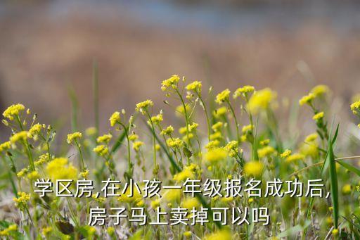  学区房,在小孩一年级报名成功后,房子马上卖掉可以吗