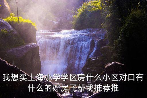 学区房买什么楼盘最好呢，在济南买学区房好还是选个质量好地段好的楼盘好最好能推荐