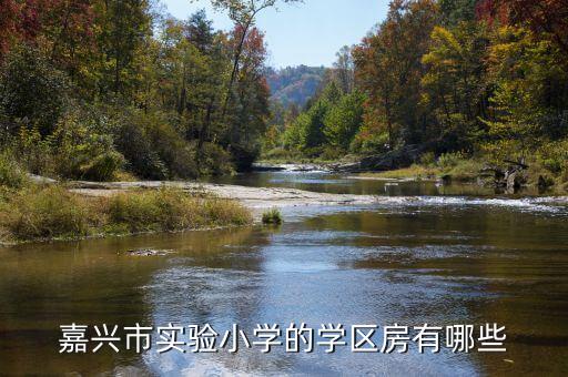 嘉兴市实验小学的学区房有哪些