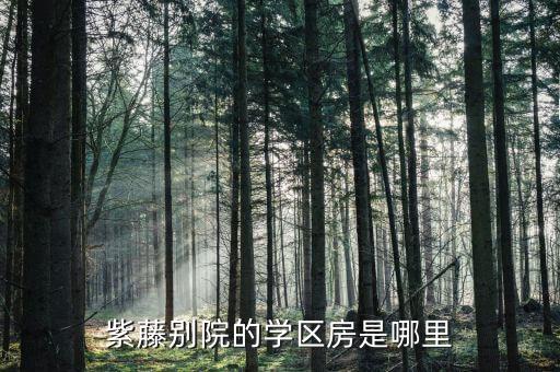 紫藤别院的学区房是哪里